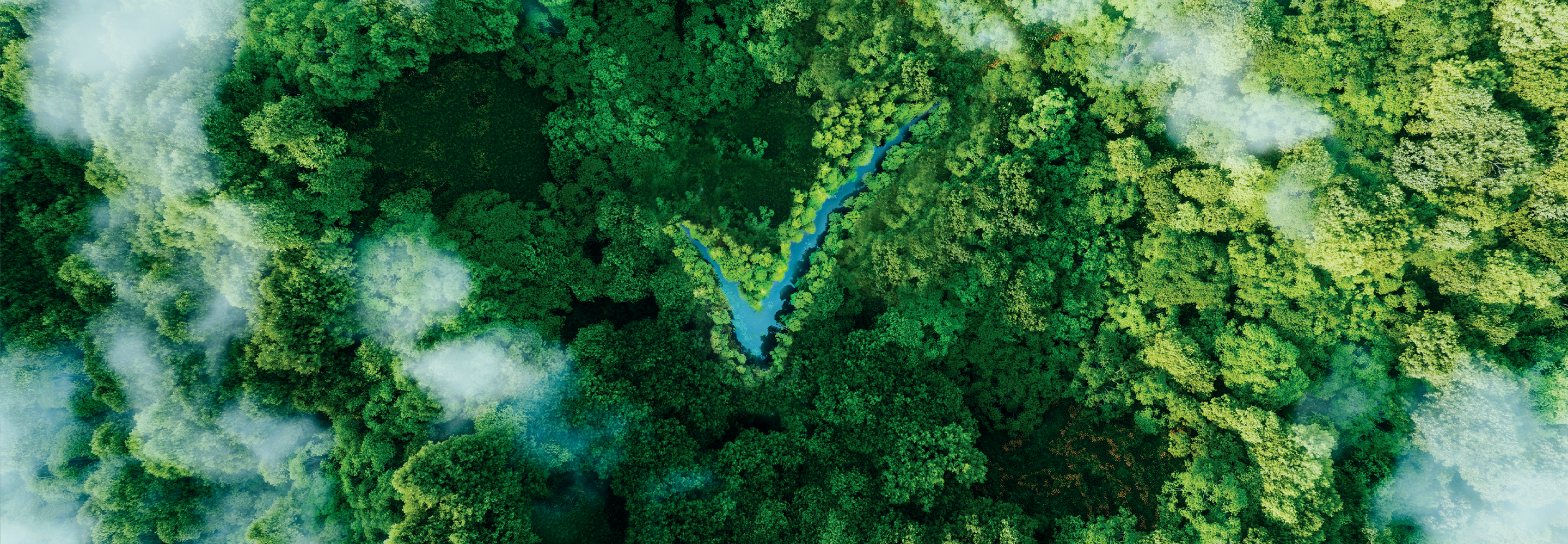 Banner Image 3